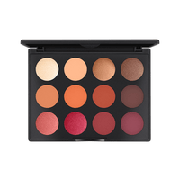 Mac Art Library מאק פלטת צלליות-GLAM42