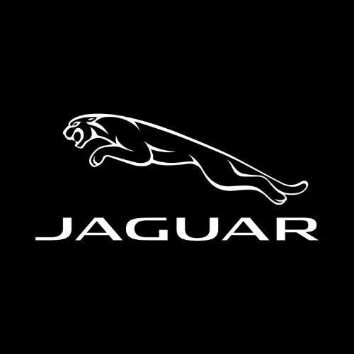 Jaguar - GLAM42