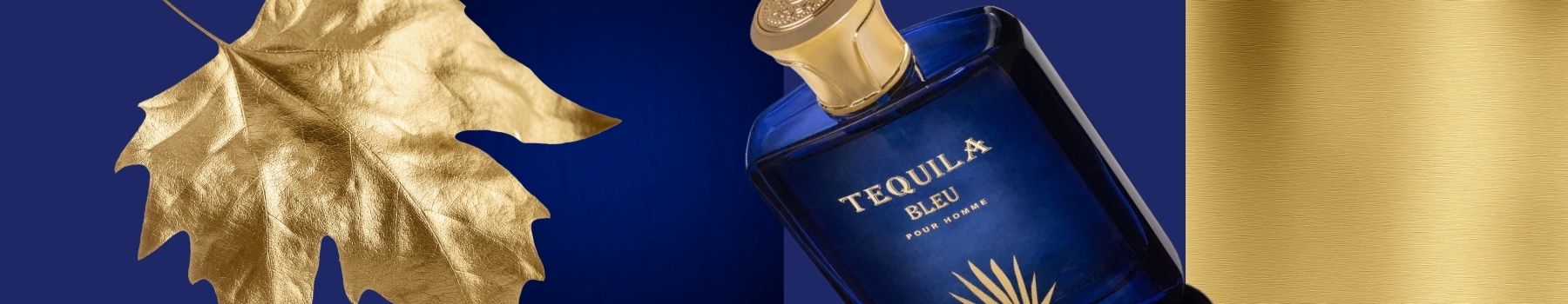 Tequila Bleu