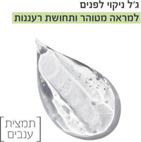 Garnier Skin Naturals Grape Water Gel גרנייה ג'ל ענבים