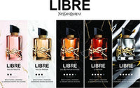 Ysl Libre Edp 50ml בושם איב סאן לורן ליברה - GLAM42
