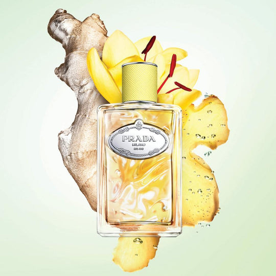 Prada Infusion de Gingembre Edp 100ml בושם פראדה אינפיוז'ן לאישה-GLAM42