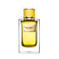 Dolce & Gabbana Velvet Ginestra Edp 150Ml בושם דולצ'ה גבנה לאישה