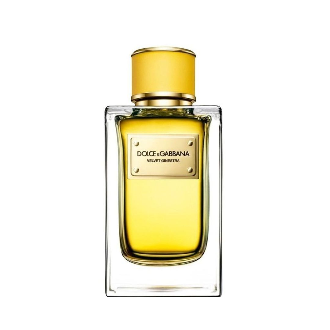 Dolce & Gabbana Velvet Ginestra Edp 150Ml בושם דולצ'ה גבנה לאישה