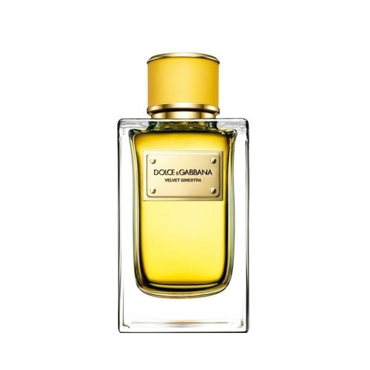 Dolce & Gabbana Velvet Ginestra Edp 150Ml בושם דולצ'ה גבנה לאישה