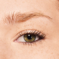 Pro Brow Styler Thunder עיפרון גבות מקצועי למילוי ולהצללה