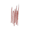 Bobbi Brown Lip Pencil בובי בראון עפרון שפתיים
