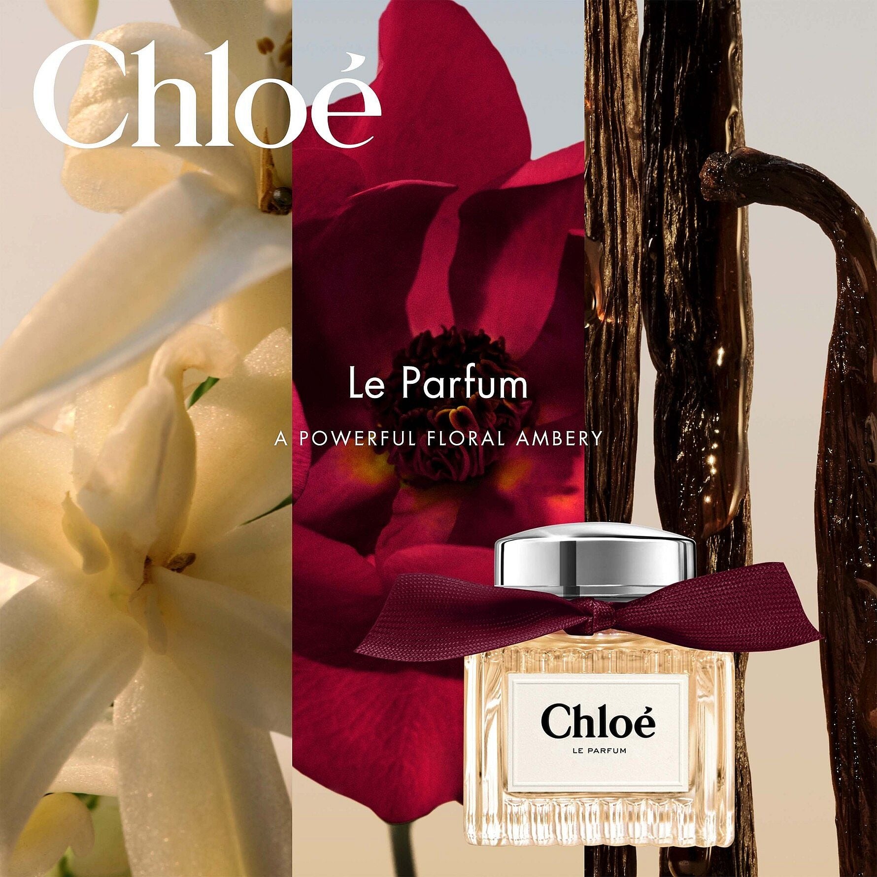 Chloe  Signature le Parfum Edp For Women 100ML קלואה סיגנצר לה פרפיום אדפ