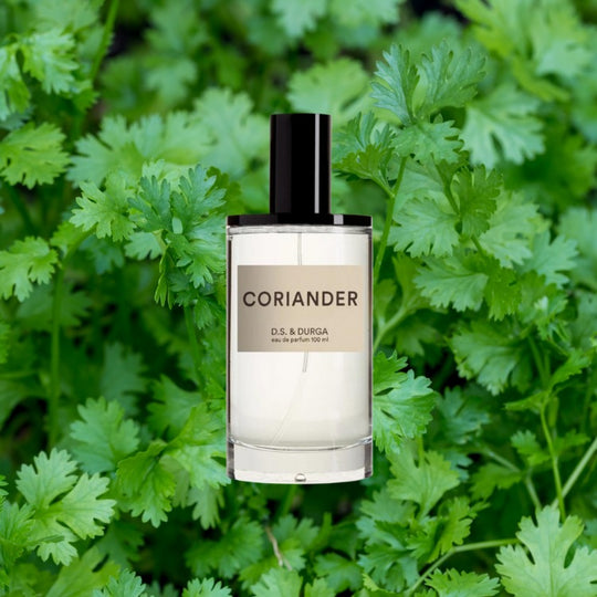 DS&Durga Coriander EDP 100 ML בושם דס דורגה קוריאנדר אדפ