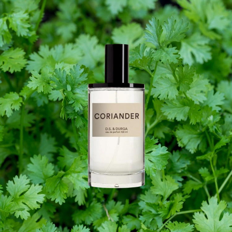 DS&Durga Coriander EDP 100 ML בושם דס דורגה קוריאנדר אדפ