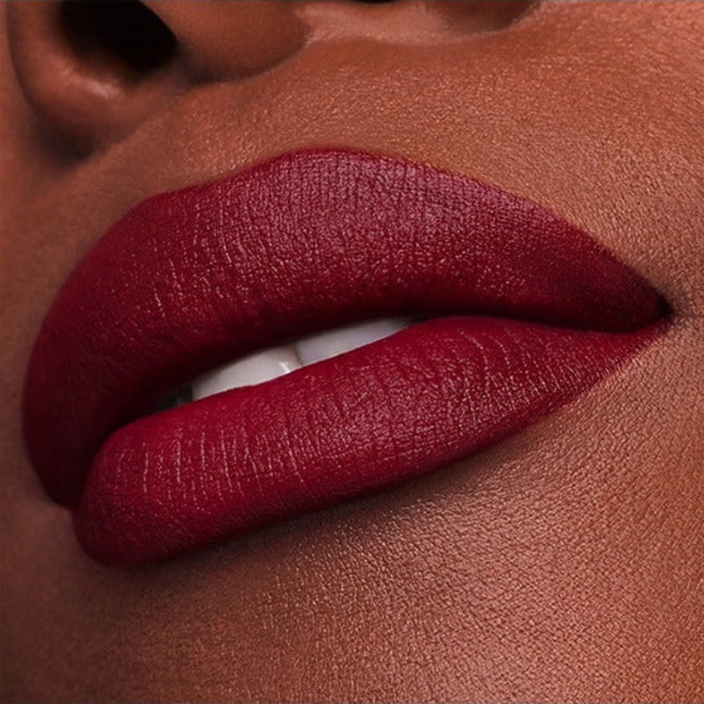 Estee Lauder Pure Color Refillable Matte Lipstick אסתי לאודר שפתון פיור קולור בגימור מאט