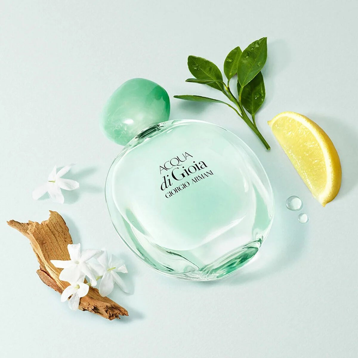 Acqua Di Gioia Edp 100ml בושם ג'ורג'יו ארמני לאישה