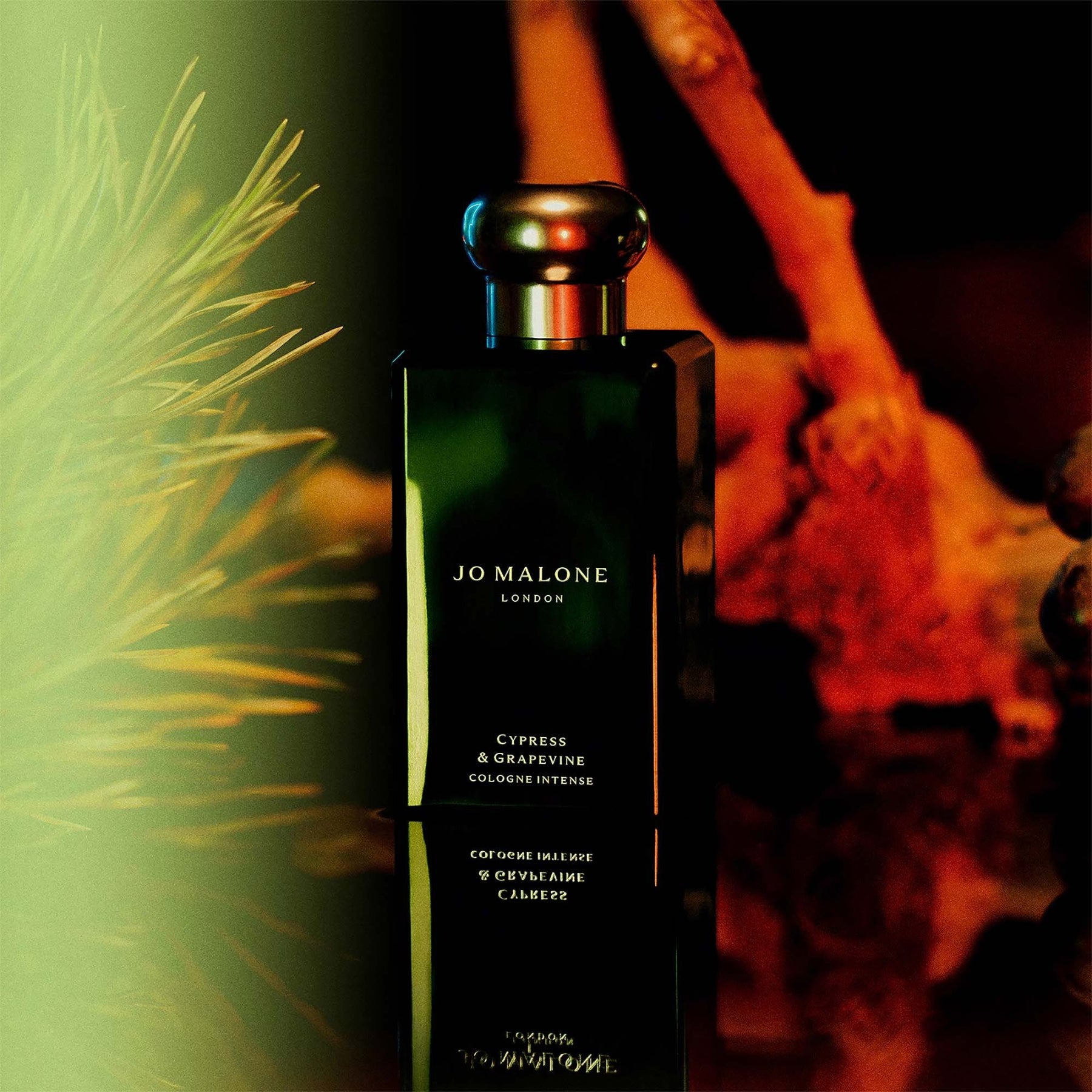 Cypress & Grapevine Cologne Intense Edp 100ml ג'ו מלון בושם בניחוח עצי ברוש וגפנים