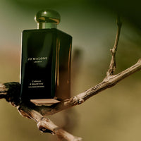 Cypress & Grapevine Cologne Intense Edp 50ml ג'ו מלון בושם בניחוח עצי ברוש וגפנים