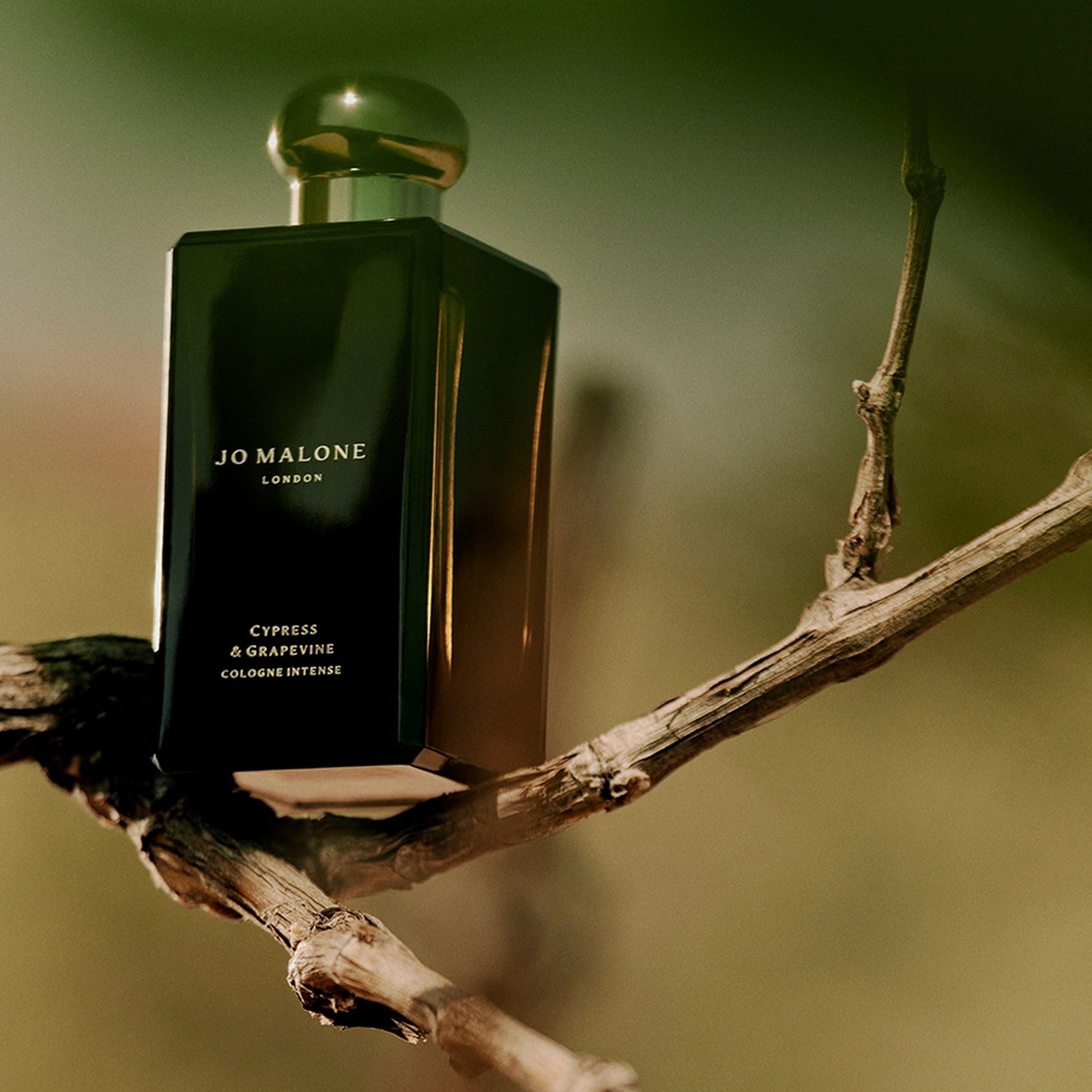 Cypress & Grapevine Cologne Intense Edp 50ml ג'ו מלון בושם בניחוח עצי ברוש וגפנים