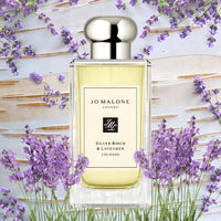 English Silver Birch & Lavender Cologne ג'ו מלון בושם בניחוח לבנדר ואלון