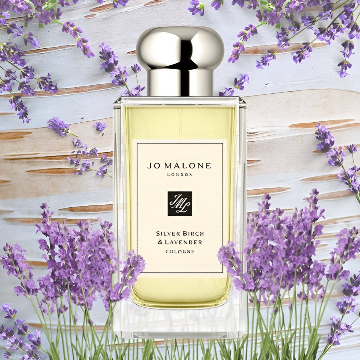 English Silver Birch & Lavender Cologne ג'ו מלון בושם בניחוח לבנדר ואלון