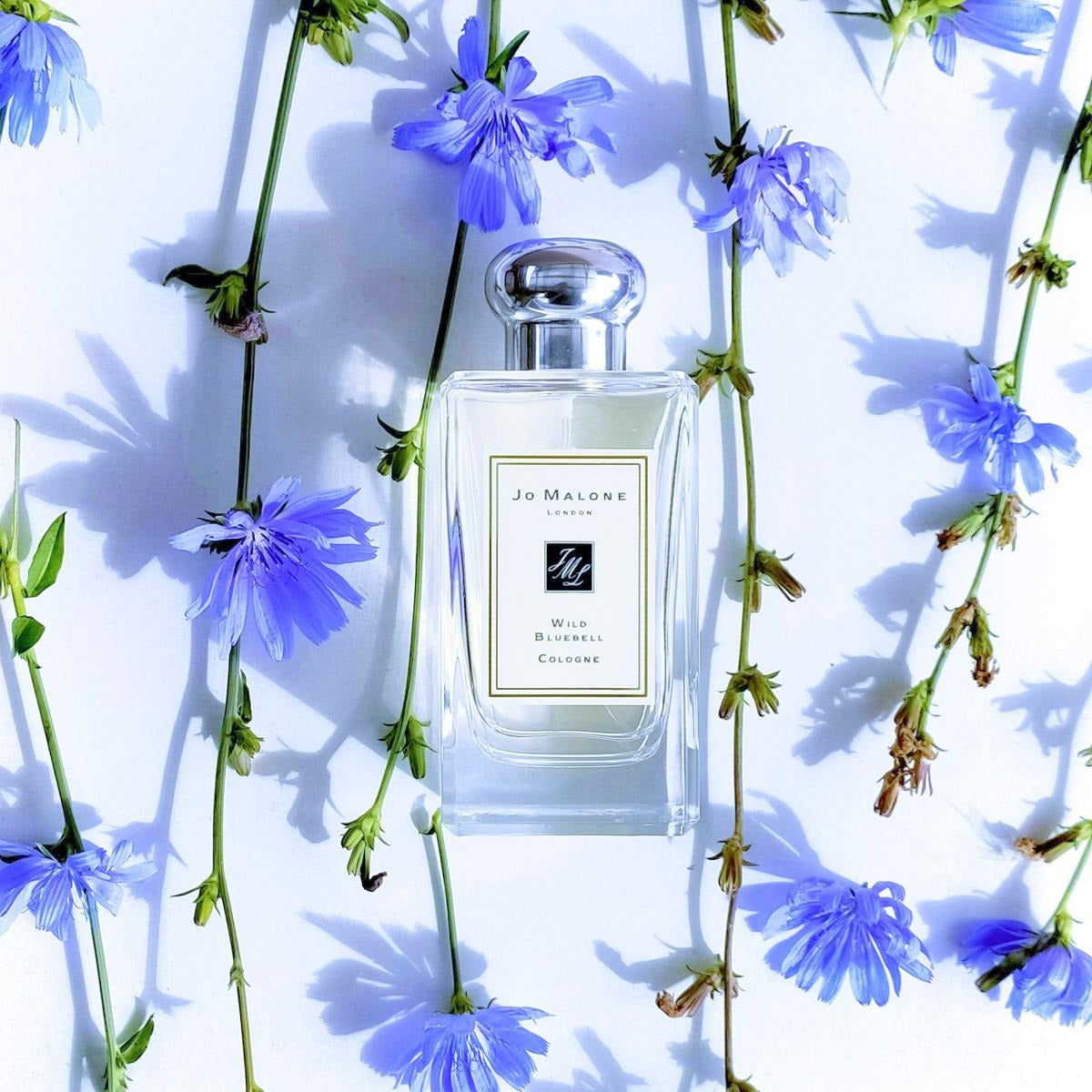 English Wild Bluebell Cologne ג'ו מלון בושם בניחוח פעמונית הפרא