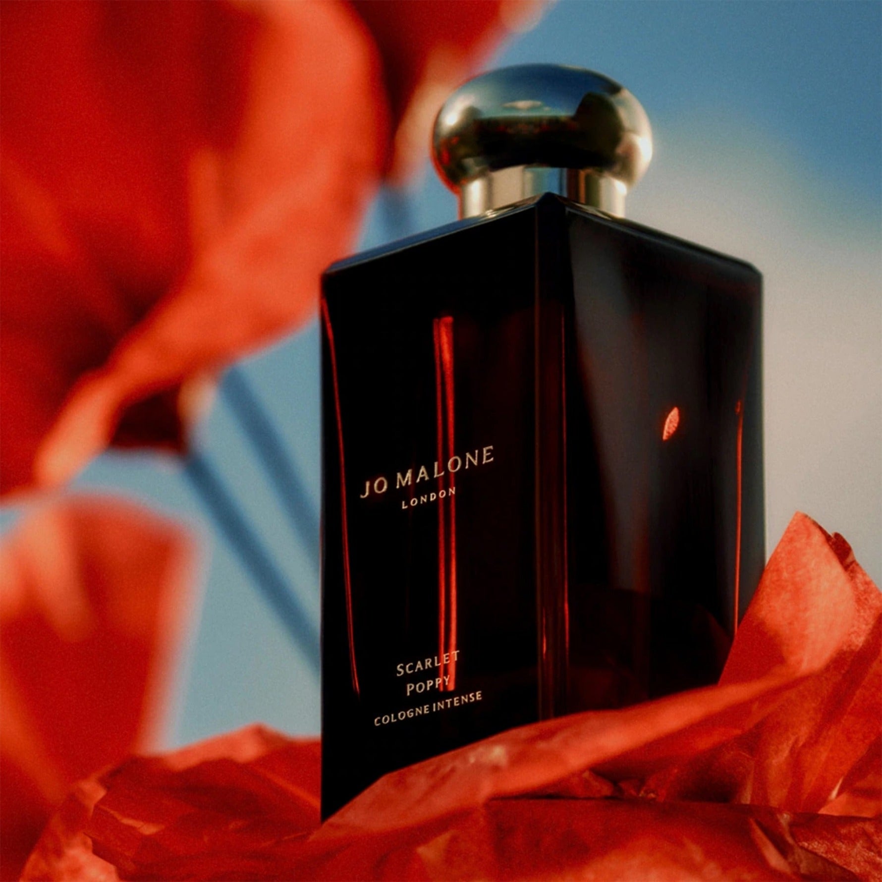 Scarlet Poppy Cologne Intense ג'ו מלון בושם בניחוח פרג הארגמן