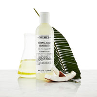 Kiehl's Coconut Oil and Amino Acids Shampoo קילס שמפו עם שמני חוחובה וקוקוס
