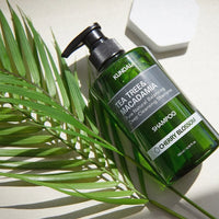 Kundal Tea Tree & Macadamia Deep Cleansing Shampoo קונדל שמפו עץ התה ומקדמיה לניקוי עמוק
