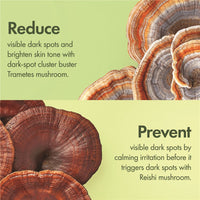 Origins Mega-Mushroom Dark Spot Brightening Serum 30ml אוריג'ינס סרום תיקון כתמים כהים