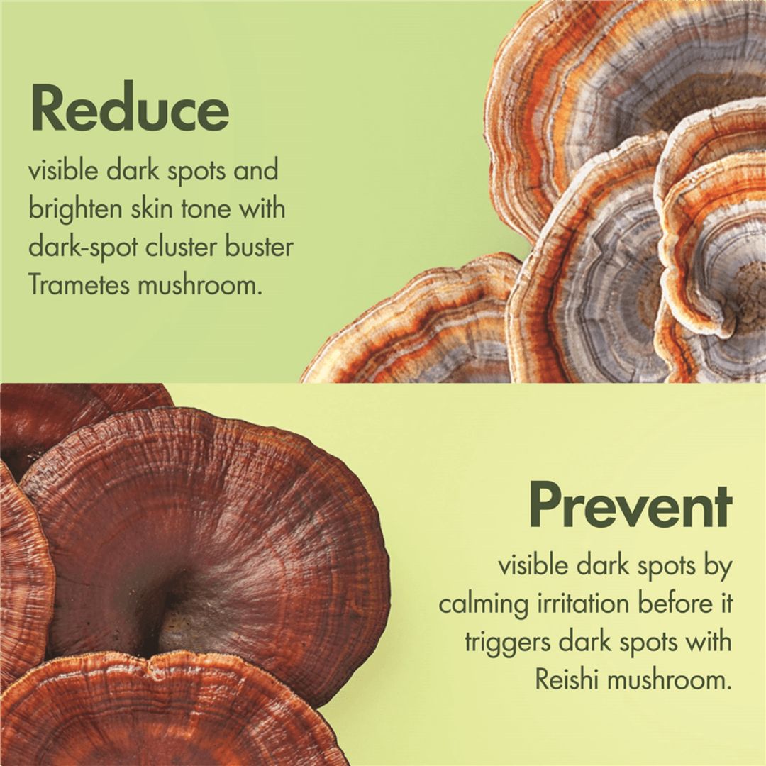 Origins Mega-Mushroom Dark Spot Brightening Serum 30ml אוריג'ינס סרום תיקון כתמים כהים