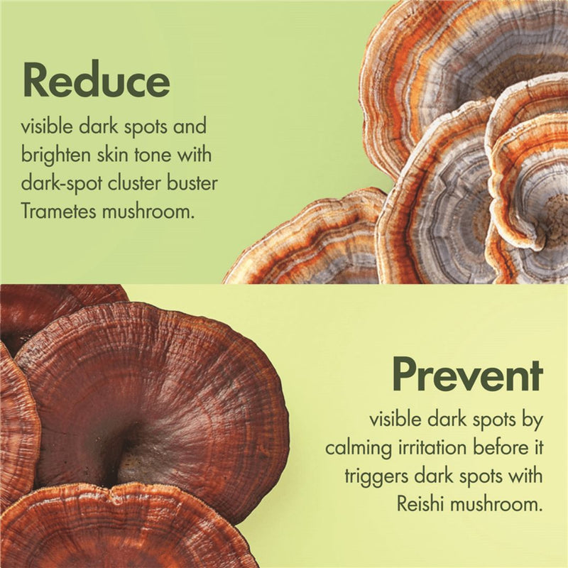 Origins Mega-Mushroom Dark Spot Brightening Serum 30ml אוריג'ינס סרום תיקון כתמים כהים