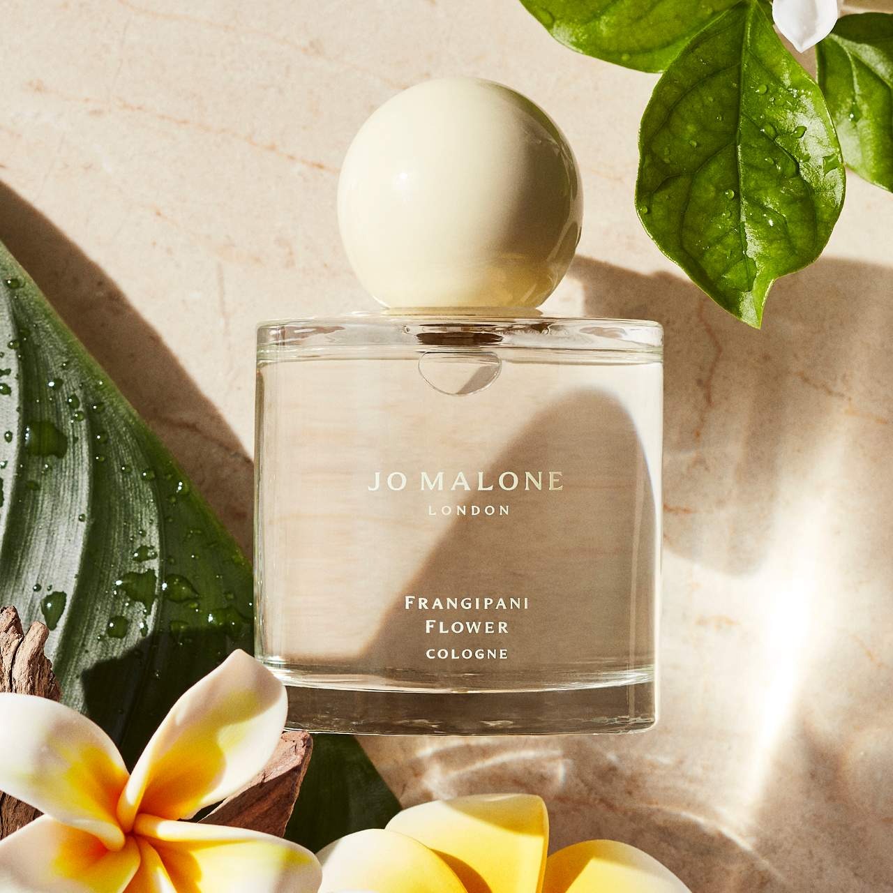 Jo Malone Frangipani Flower Cologne 100ml ג'ו מלון פראנג'יפני פלאוור קולון