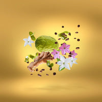 Xerjoff Sospiro - Shooting Stars Uden Overdose EDP Unisex 50ML